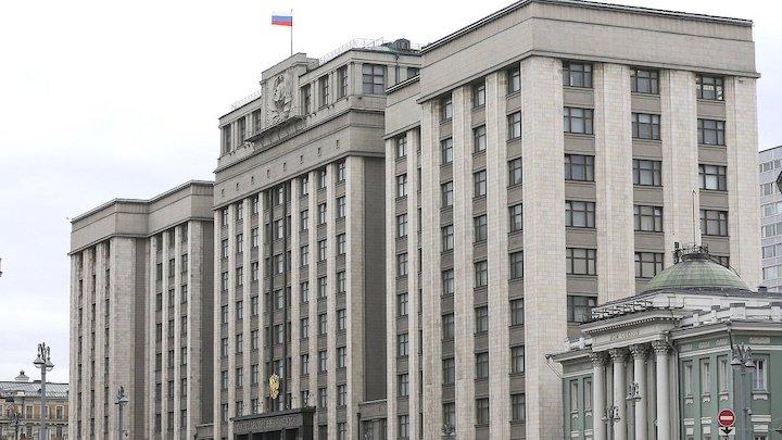 В Госдуме создали рабочую группу для доработки поправок, направленных на защиту интересов детей